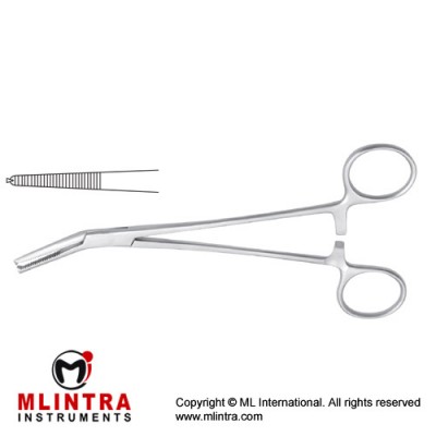 Fickling Haemostatic Forceps 1 x 2 Teeth Stainless Steel, 18 cm - 7"